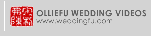 weddingfu.com