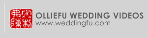 weddingfu.com